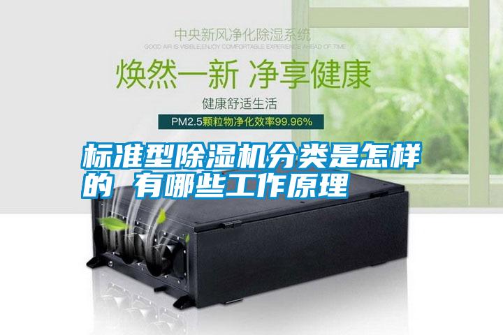 标准型除湿机分类是怎样的 有哪些工作原理