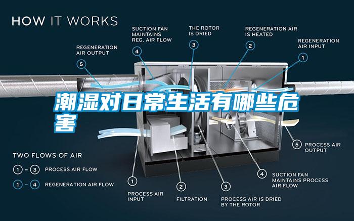 潮湿对日常生活有哪些危害