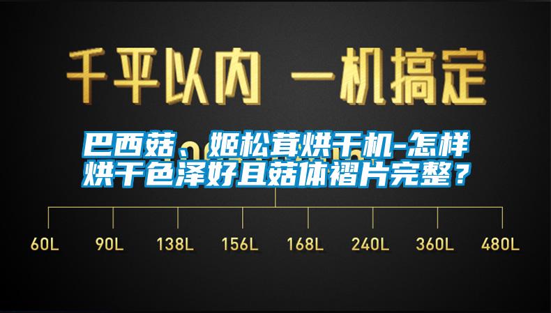 巴西菇、姬松茸烘干机-怎样烘干色泽好且菇体褶片完整？