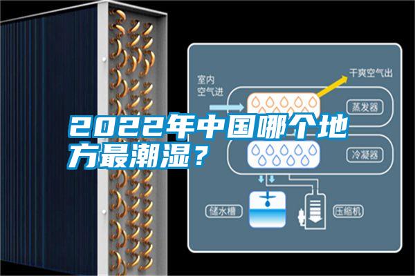 2022年中国哪个地方最潮湿？