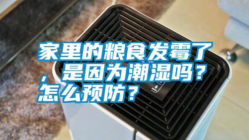 家里的粮食发霉了，是因为潮湿吗？怎么预防？