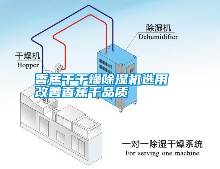 香蕉干干燥除湿机选用  改善香蕉干品质