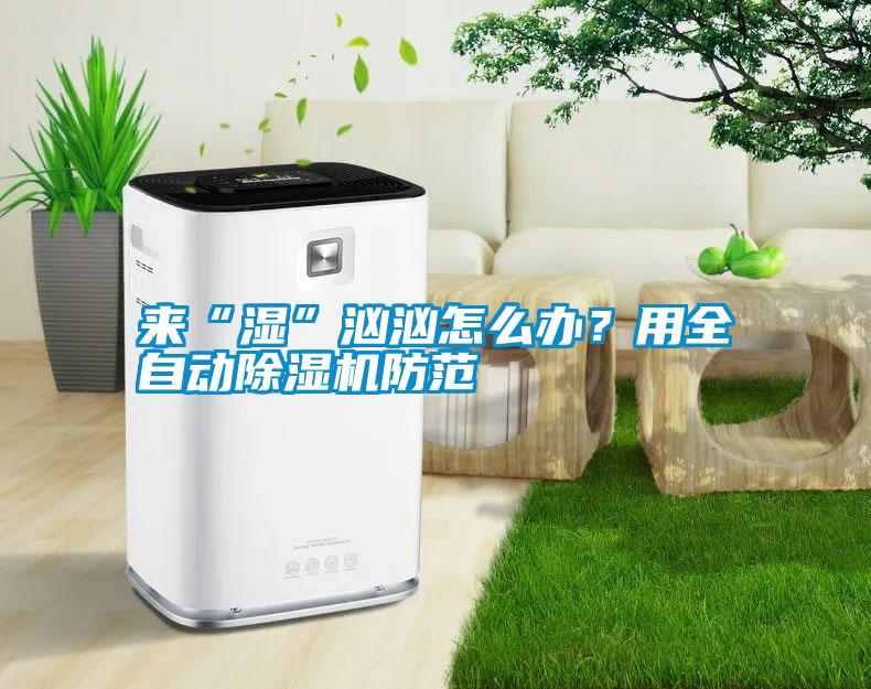 来“湿”汹汹怎么办？用全自动除湿机防范