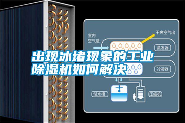 出现冰堵现象的工业除湿机如何解决