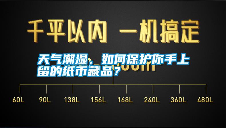 天气潮湿，如何保护你手上留的纸币藏品？