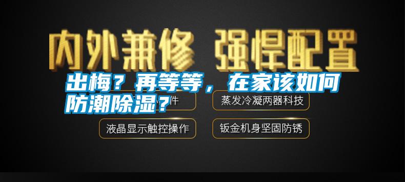 出梅？再等等，在家该如何防潮除湿？