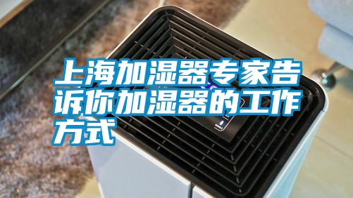 上海加湿器专家告诉你加湿器的工作方式