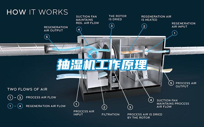 抽湿机工作原理