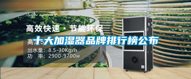 十大加湿器品牌排行榜公布