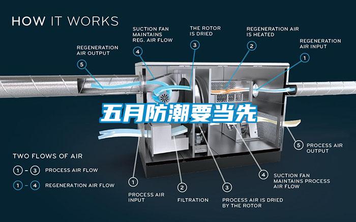 五月防潮要当先