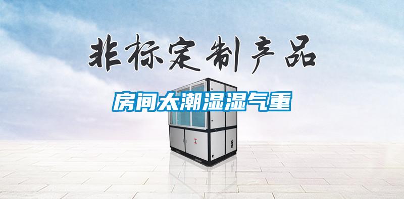 房间太潮湿湿气重