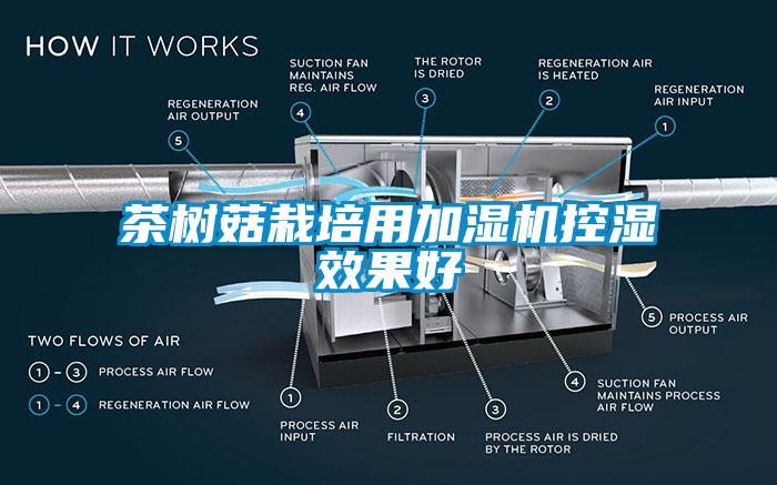 茶树菇栽培用加湿机控湿效果好