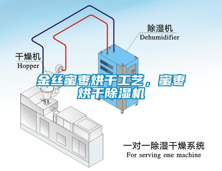 金丝蜜枣烘干工艺，蜜枣烘干除湿机