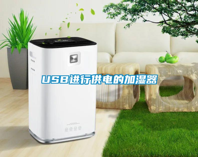 USB进行供电的加湿器