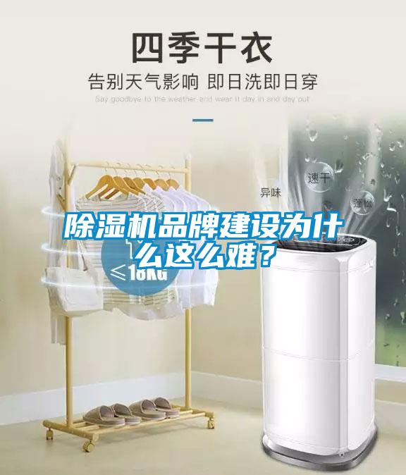 除湿机品牌建设为什么这么难？