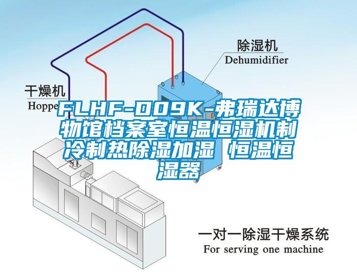 FLHF-D09K-弗瑞达博物馆档案室恒温恒湿机制冷制热除湿加湿 恒温恒湿器