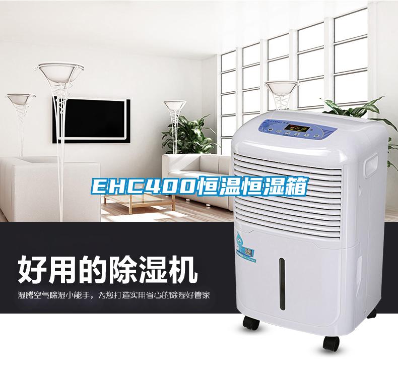 EHC400恒温恒湿箱