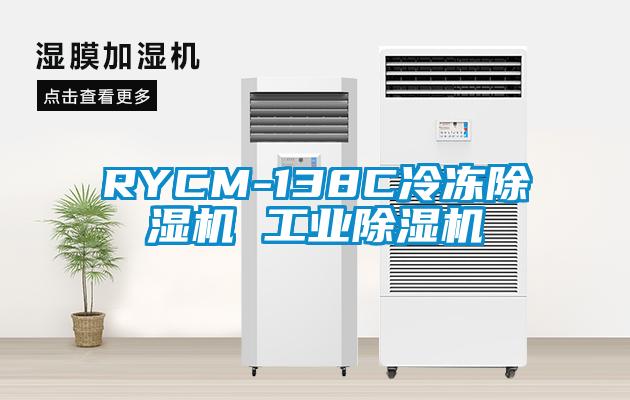 RYCM-138C冷冻除湿机 工业除湿机