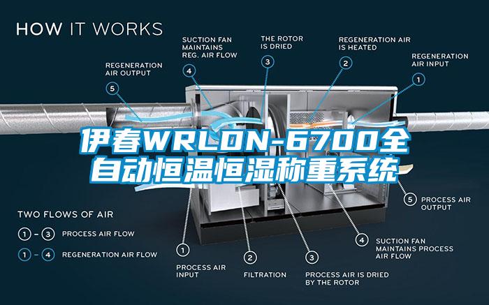 伊春WRLDN-6700全自动恒温恒湿称重系统