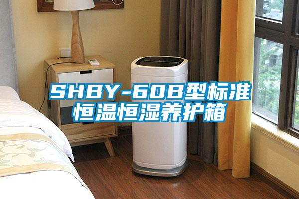 SHBY-60B型标准恒温恒湿养护箱