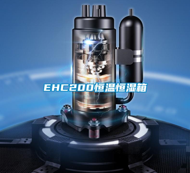 EHC200恒温恒湿箱