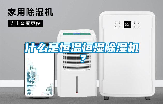 什么是恒温恒湿除湿机？