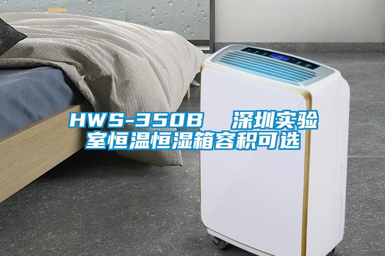 HWS-350B  深圳实验室恒温恒湿箱容积可选