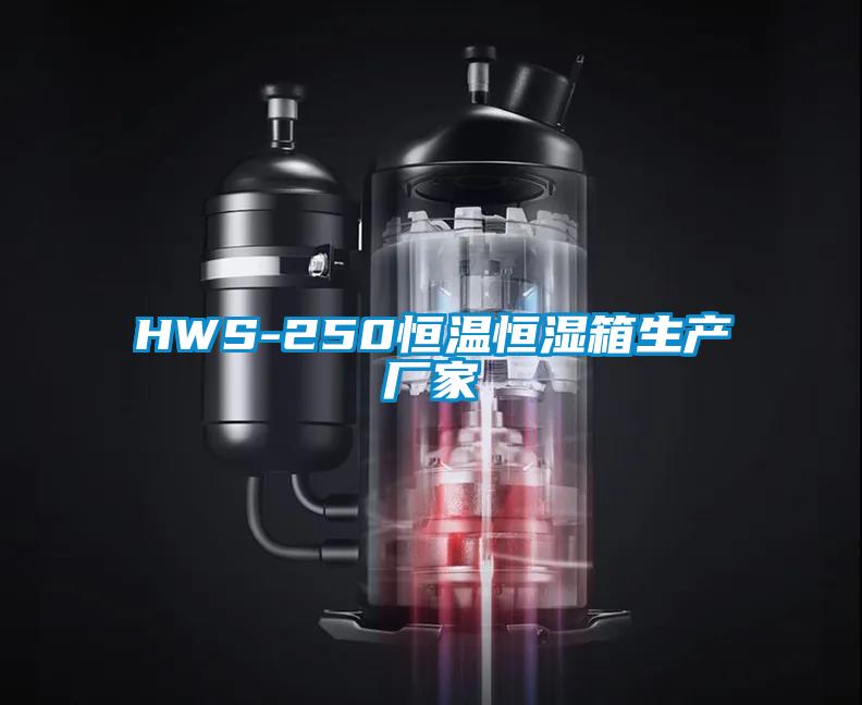 HWS-250恒温恒湿箱生产厂家