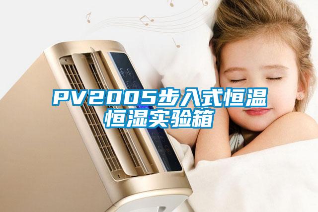 PV2005步入式恒温恒湿实验箱