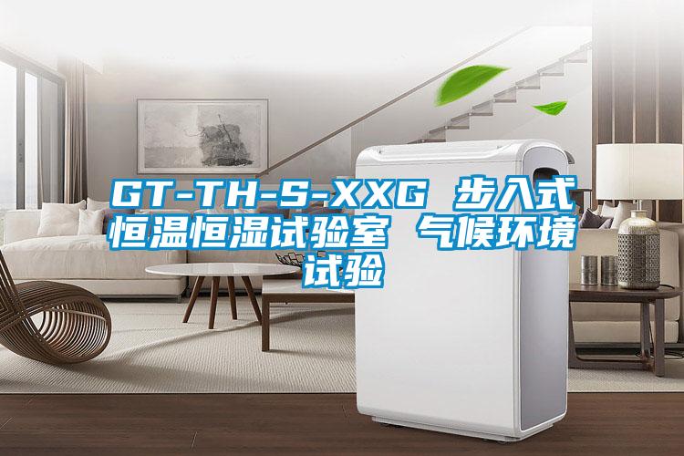 GT-TH-S-XXG 步入式恒温恒湿试验室 气候环境试验