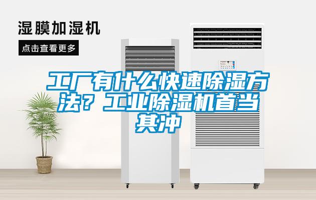 工厂有什么快速除湿方法？工业除湿机首当其冲