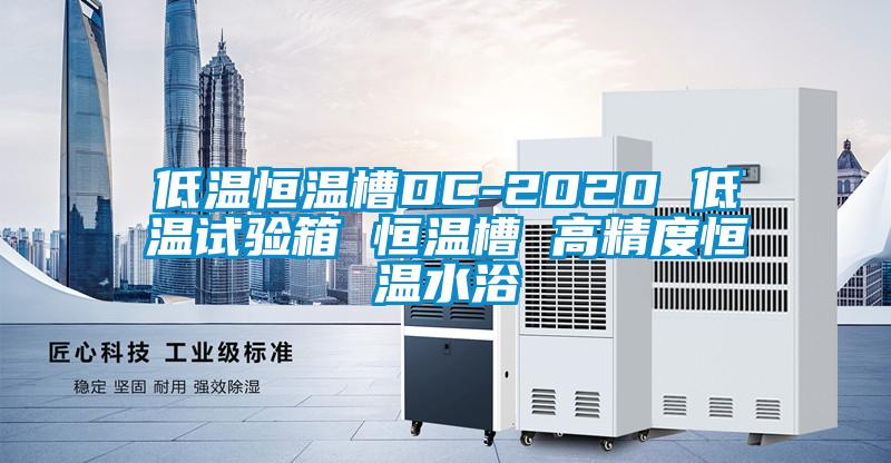 低温恒温槽DC-2020 低温试验箱 恒温槽 高精度恒温水浴