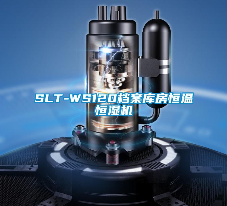 SLT-WS120档案库房恒温恒湿机