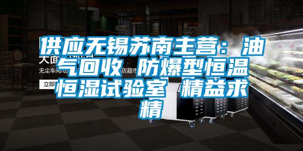 供应无锡苏南主营：油气回收 防爆型恒温恒湿试验室 精益求精