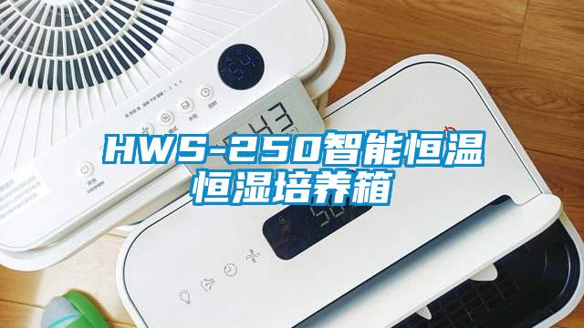 HWS-250智能恒温恒湿培养箱