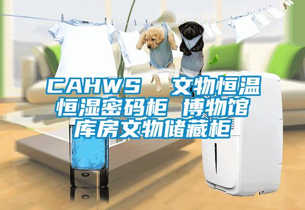 CAHWS  文物恒温恒湿密码柜 博物馆库房文物储藏柜