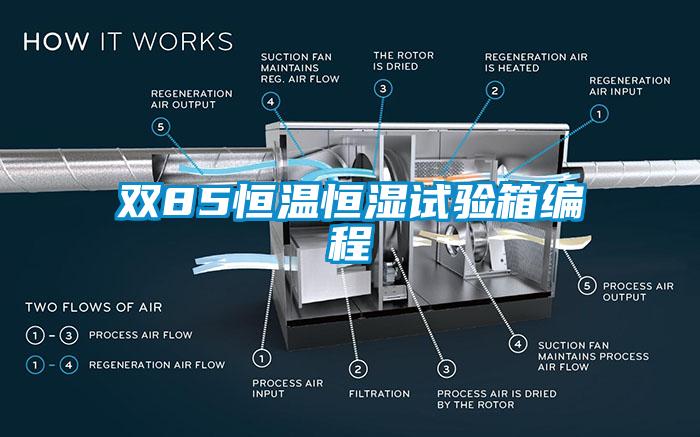 双85恒温恒湿试验箱编程