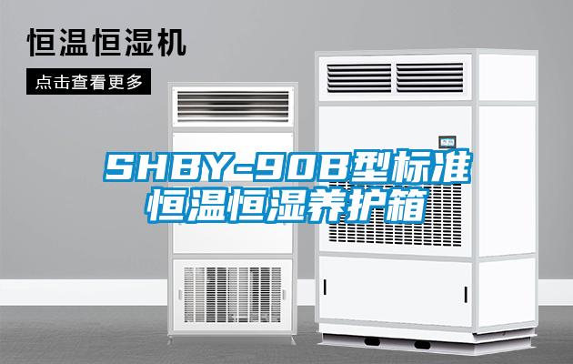 SHBY-90B型标准恒温恒湿养护箱