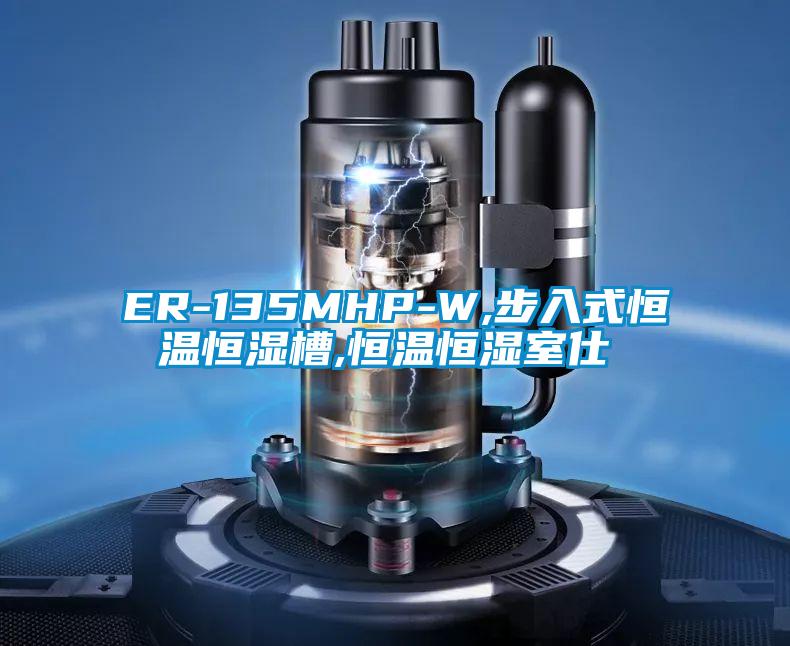 ER-135MHP-W,步入式恒温恒湿槽,恒温恒湿室仕様書