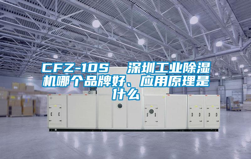 CFZ-10S  深圳工业除湿机哪个品牌好、应用原理是什么