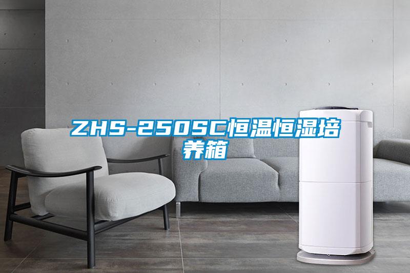 ZHS-250SC恒温恒湿培养箱