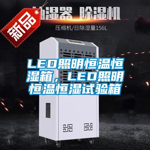 LED照明恒温恒湿箱，LED照明恒温恒湿试验箱