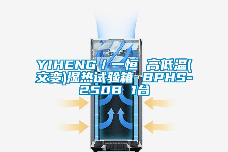 YIHENG／一恒 高低温(交变)湿热试验箱 BPHS-250B 1台