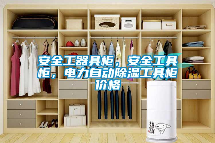 安全工器具柜，安全工具柜，电力自动除湿工具柜价格