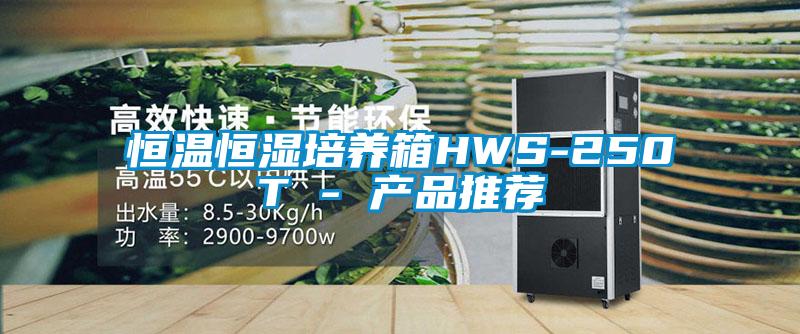 恒温恒湿培养箱HWS-250T - 产品推荐