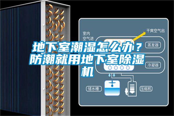 地下室潮湿怎么办？防潮就用地下室除湿机