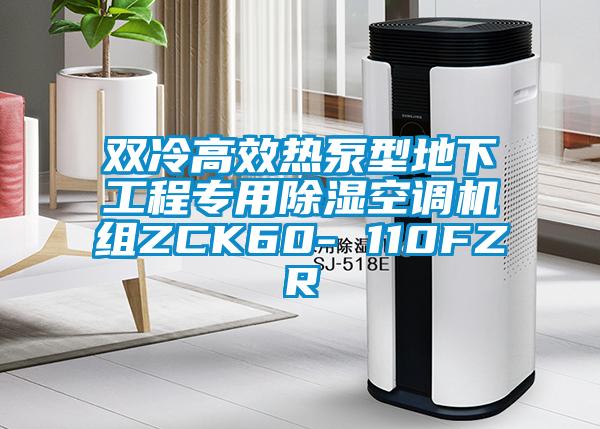 双冷高效热泵型地下工程专用除湿空调机组ZCK60- 110FZR