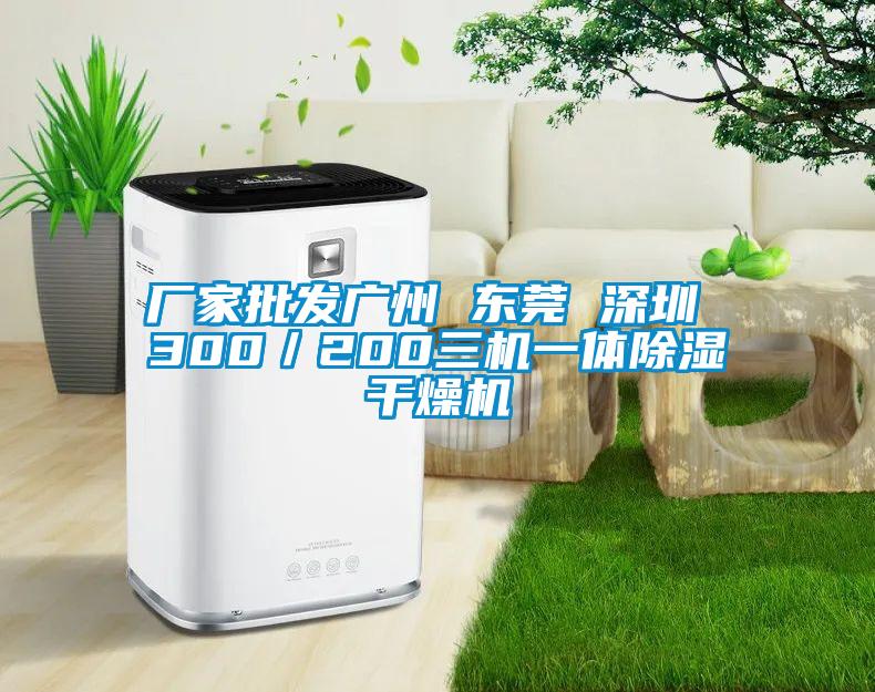 厂家批发广州 东莞 深圳 300／200三机一体除湿干燥机