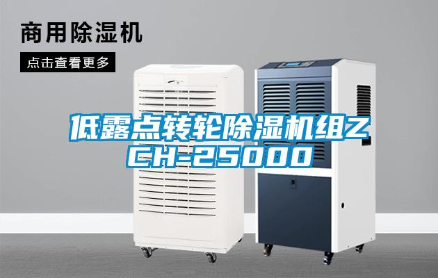 低露点转轮除湿机组ZCH-25000