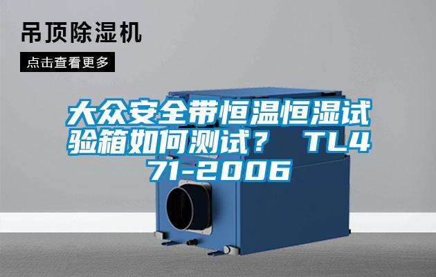 大众安全带恒温恒湿试验箱如何测试？ TL471-2006